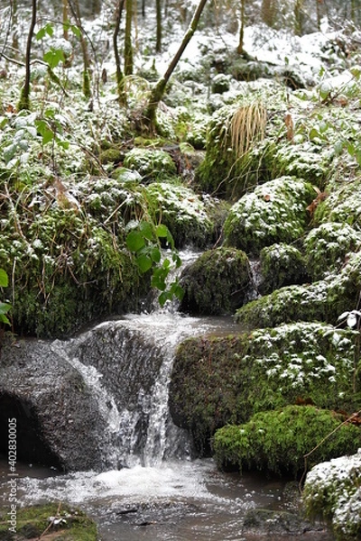 Obraz Bach, Fluss, Weg, Baum, Wald, Schwarzwald, 