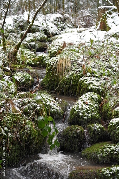 Obraz Bach, Fluss, Weg, Baum, Wald, Schwarzwald, 