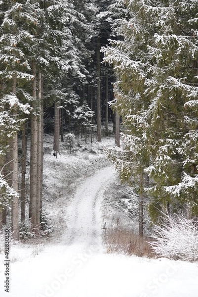 Obraz snow covered road