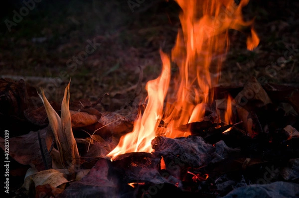 Obraz The flames of the night, little fire