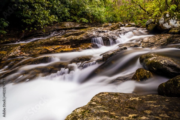 Obraz waterfall in the forest