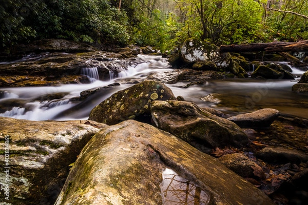 Obraz waterfall in the forest