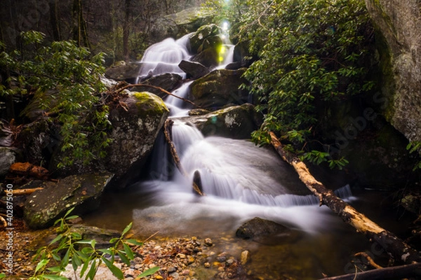 Obraz waterfall in the forest