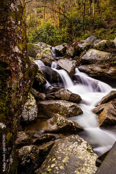Obraz waterfall in the forest