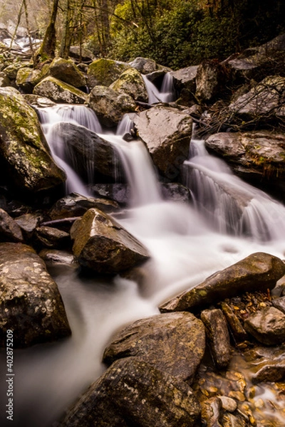 Obraz waterfall in the forest
