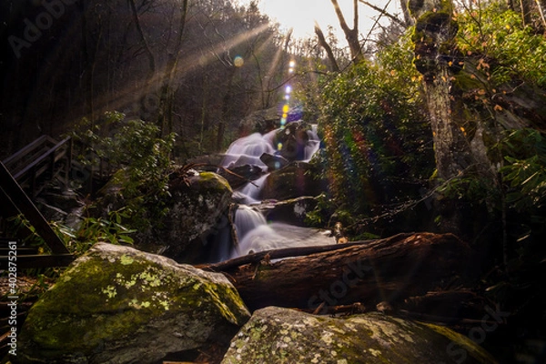 Obraz waterfall in the forest