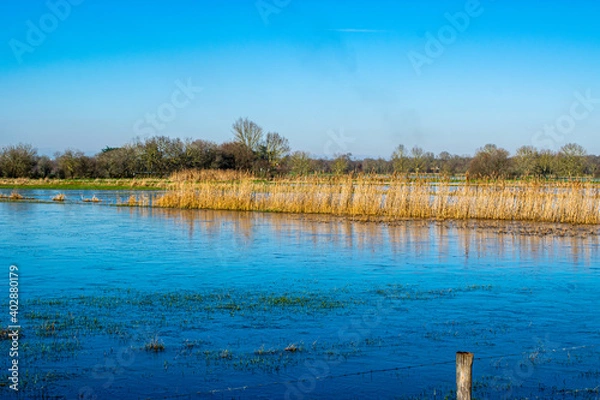 Obraz Vendée, France: the marshes of blue colors are frozen, winter is here, a superb day with magnificent skies, not far from Challans.