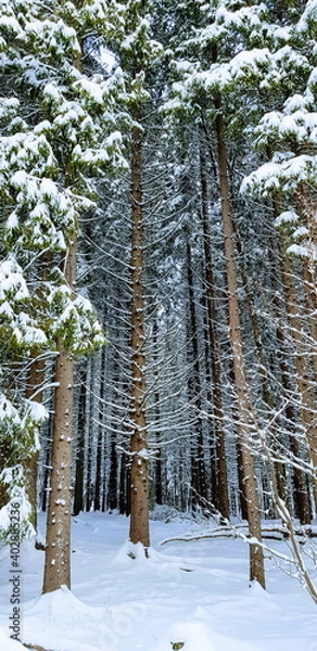 Obraz An enticing entrance to explore further