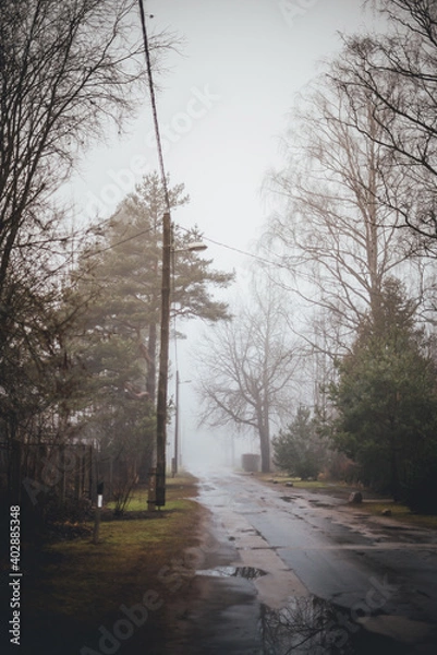 Fototapeta Puddled street in cloudy weather.NEF