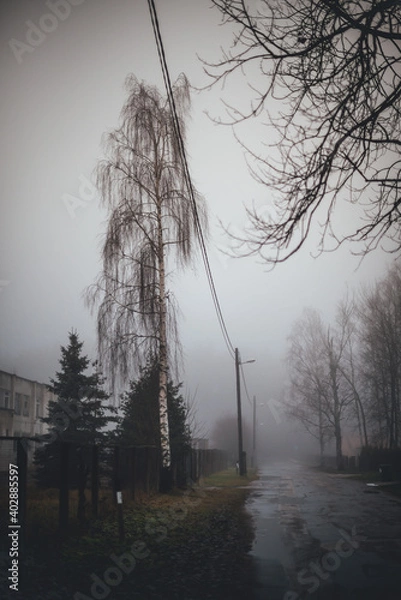 Fototapeta Puddled street in cloudy weather.NEF
