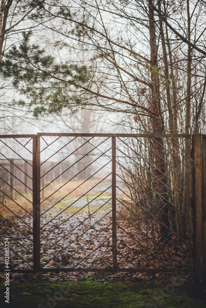 Fototapeta fog and branched shrubsl behind the fence