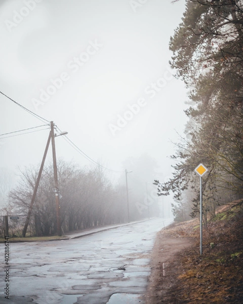 Obraz Puddled street in cloudy weather.NEF