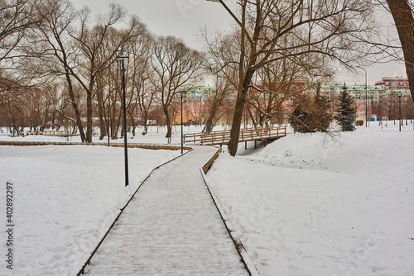 Obraz Winter park landscape.The city park is covered with snow. Snow on the wooden sidewalks and bridges of the park is trampled by the walking. The bridges are fenced with wooden railings. 