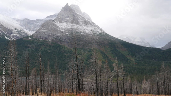 Obraz mt rainier national park