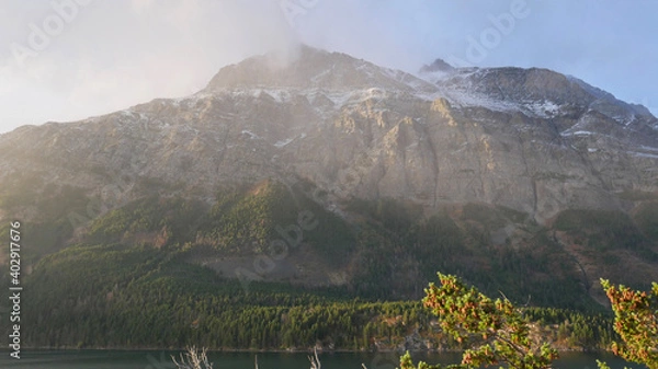 Obraz landscape with fog