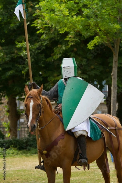 Obraz Chevalier vert et blanc