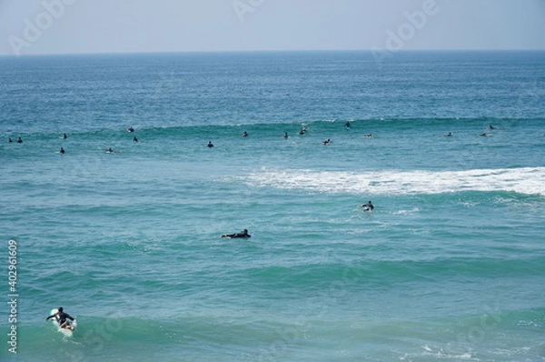 Obraz 青い海とサーファーたち