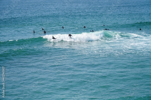 Fototapeta 青い海とサーファーたち