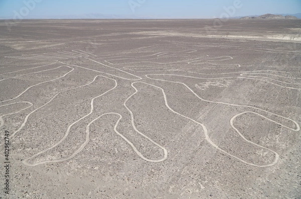 Obraz ナスカの地上絵／ペルー