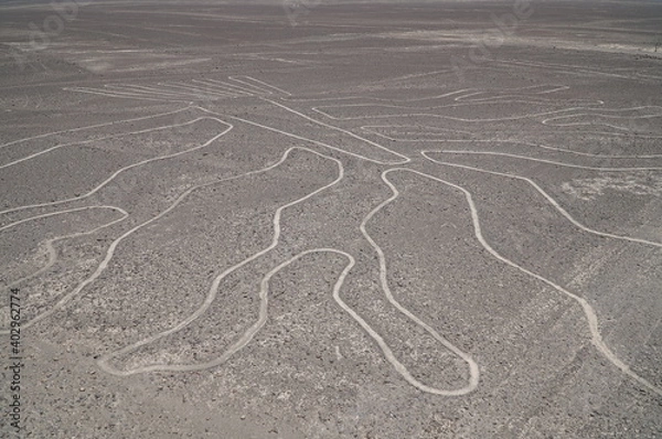 Obraz ナスカの地上絵／ペルー