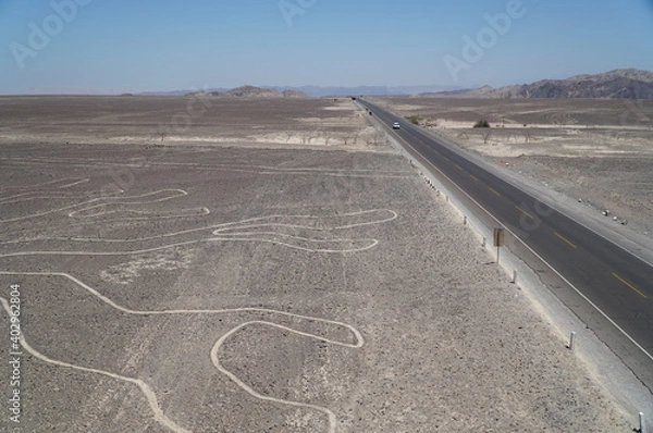 Obraz ナスカの地上絵／ペルー