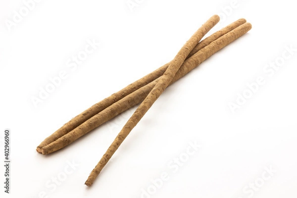 Obraz 土付き牛蒡