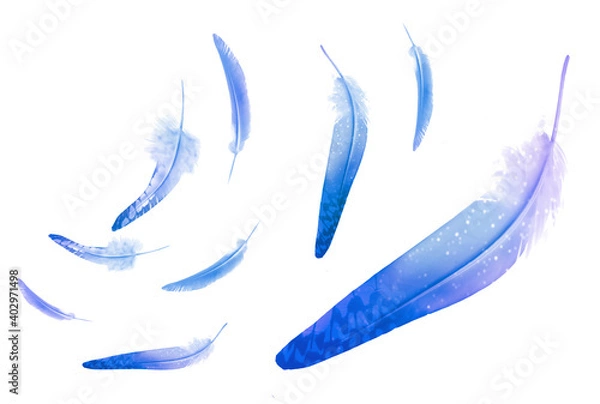 Fototapeta Beautiful color feathers isolated on white background