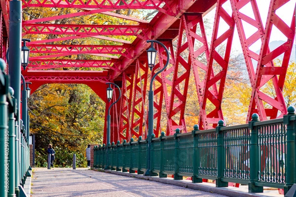 Obraz 支笏湖山線鉄橋