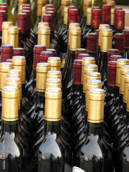 Obraz bouteilles de vin