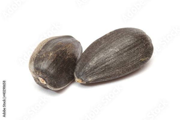 Obraz Sunflower seeds