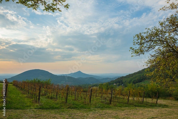 Fototapeta Erste, Italy. View of the valley with vineyards. Mountains in the background. Beautiful dawn in autumn in Italy. Soft focus and blurry background.