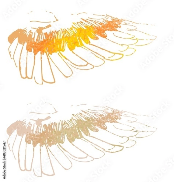 Obraz A sparrow's orange wings from my sketchbook