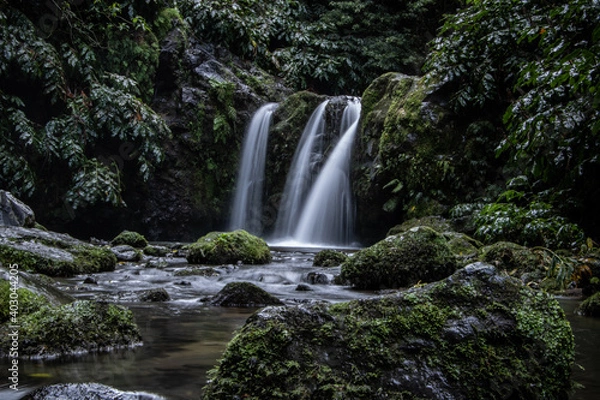 Fototapeta Waterfall in the Sao Miguel island's woods...