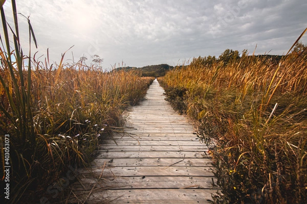 Obraz Promenade d'automne