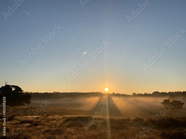 Fototapeta Westruper Heide