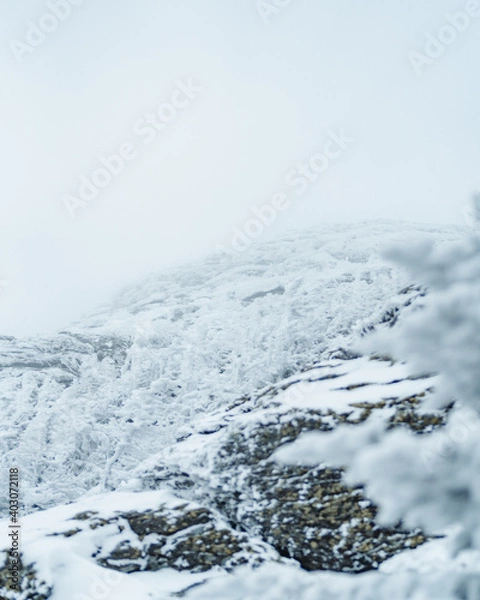 Fototapeta Mountains