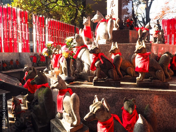Fototapeta 赤坂豊川稲荷神社　豊川稲荷神社　赤坂見附　きつね　キツネ