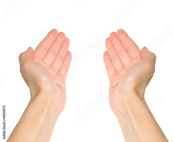 Fototapeta Two hands