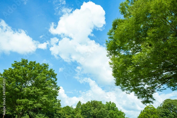 Fototapeta 雲、空