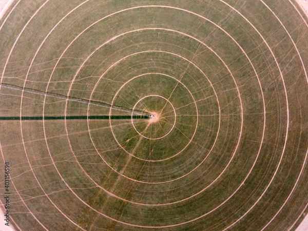 Obraz Irrigation Circles - Center Pivot Irrigation