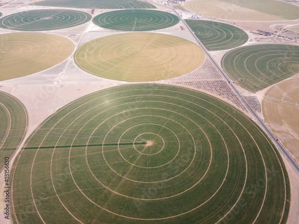 Obraz Irrigation Circles - Center Pivot Irrigation
