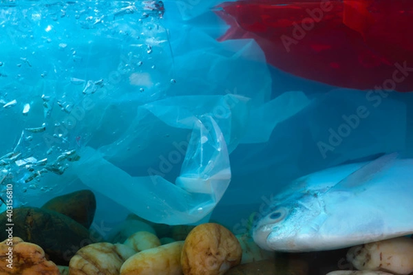 Fototapeta Disposal of waste into water sources, such as plastic bags, is non-biodegradable, causing pollution and is harmful to aquatic animals and ecological systems.