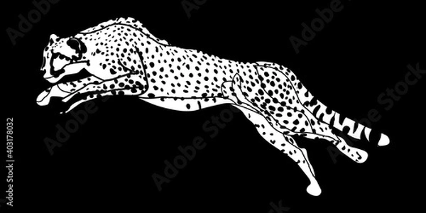 Fototapeta Leopard vector black and white drawing. Template for a tattoo. Leopard in a jump.