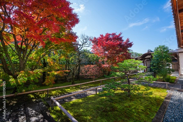 Fototapeta 京都　大徳寺の塔頭寺院　興臨院の紅葉