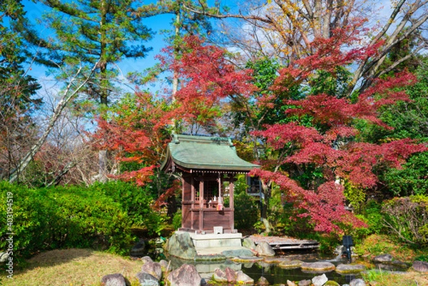 Fototapeta 京都　広隆寺の紅葉　