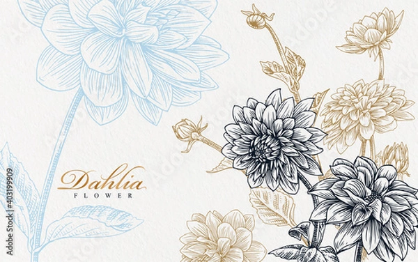 Obraz realistic blue and gold dahlia flower hand drawn illustration