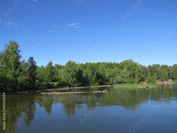 Obraz lake and forest