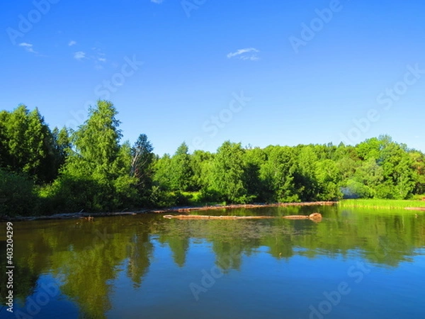 Obraz lake and forest