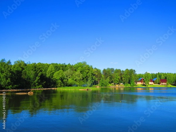 Obraz lake in the forest