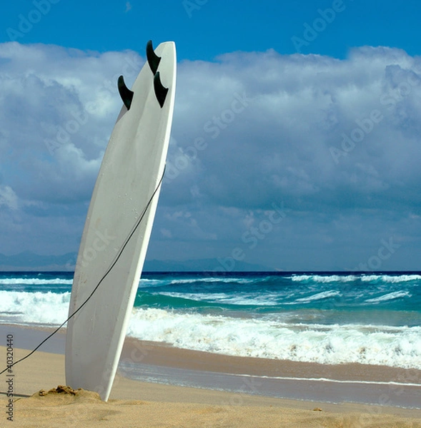 Fototapeta Surfboard on Fuerteventura beach